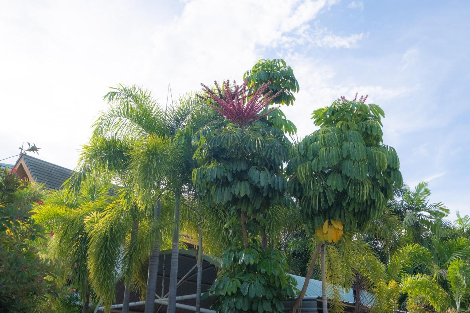 Blue Beach Grand Resort And Spa In Chalong Phuket By Dayuu Ban Saiyuan Zewnętrze zdjęcie